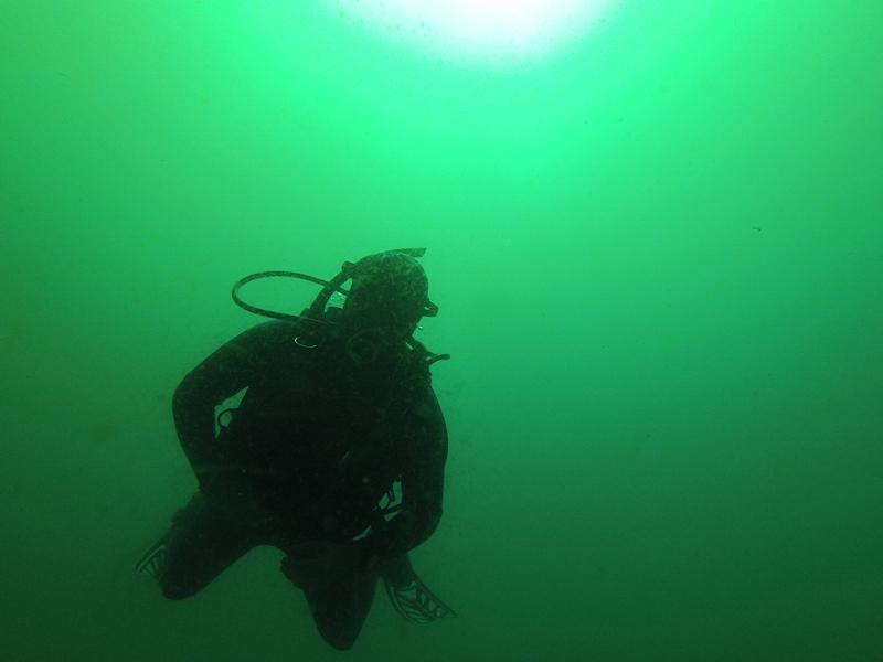 A couple of am dives in #SolitaryIslands. Sometimes  vis was 12 m, sometimes it was 1. Temp 17c. #coffscoast #diving