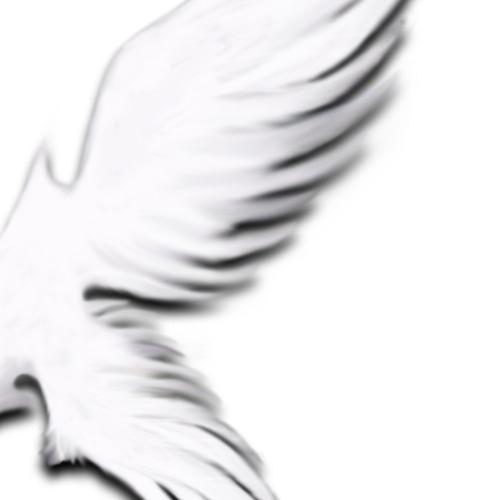 farisindratmo's tweet photo. @wiviofficial may take a break for a while, but our friendship will never ends #friend #WhiteValkyrie #newtunesoon http://t.co/xVjf8sGaVJ