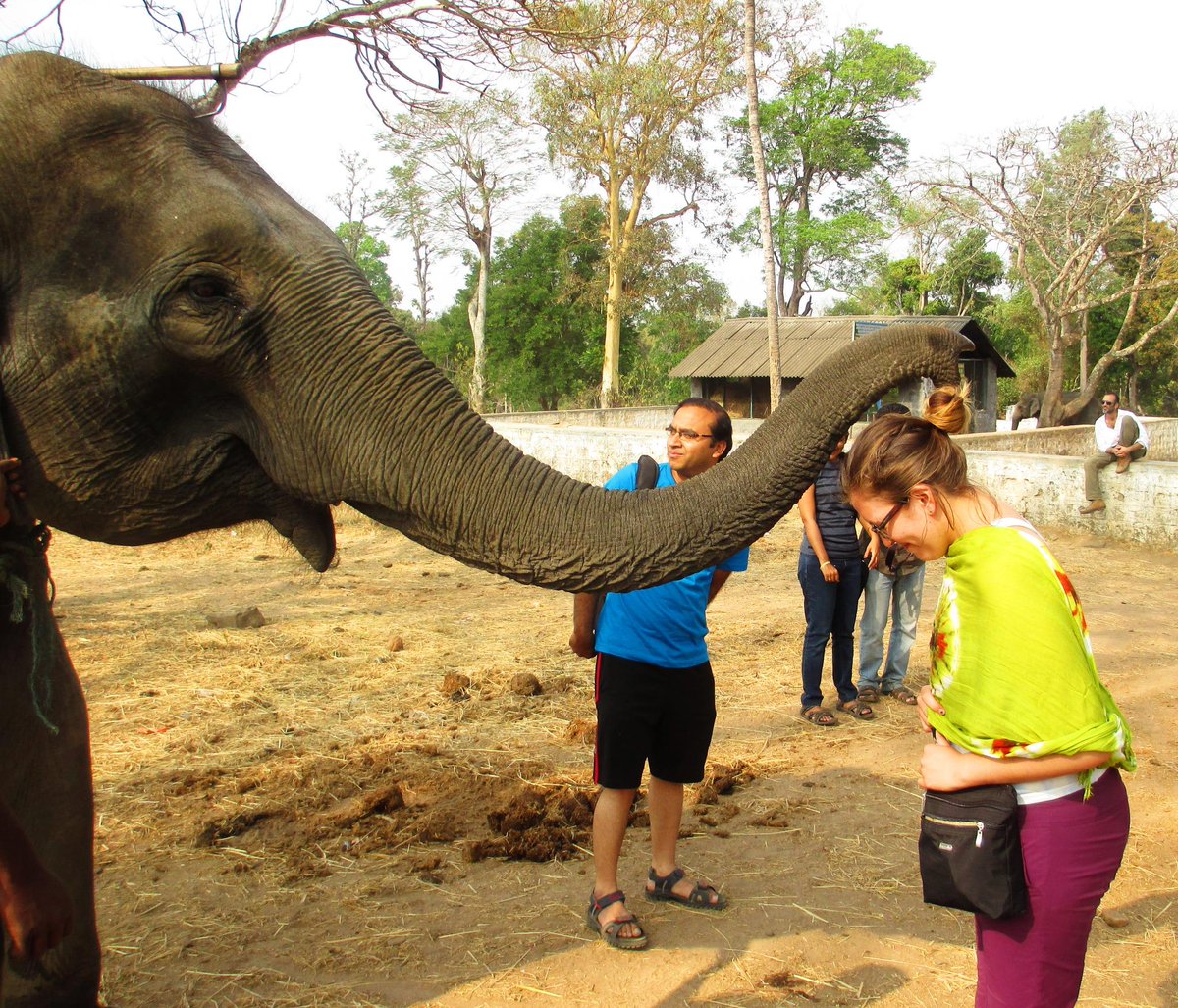 sunilabhilashr's tweet image. Mysore day tour. Coming very soon. :) #BackpackIndia #goMowgli