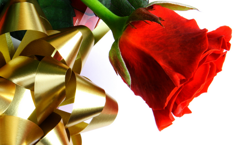 Colmenares_FANS's tweet photo. @GreciaOK FELIZ CUMPLEANOS!!! http://t.co/qju2ZfR610