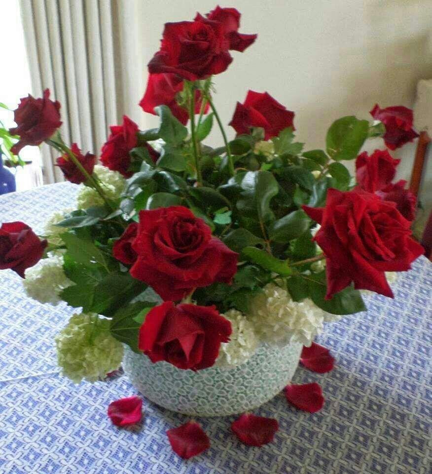 BasemNazo's tweet photo. @akadian06 منورين http://t.co/RW6C7mkSDo