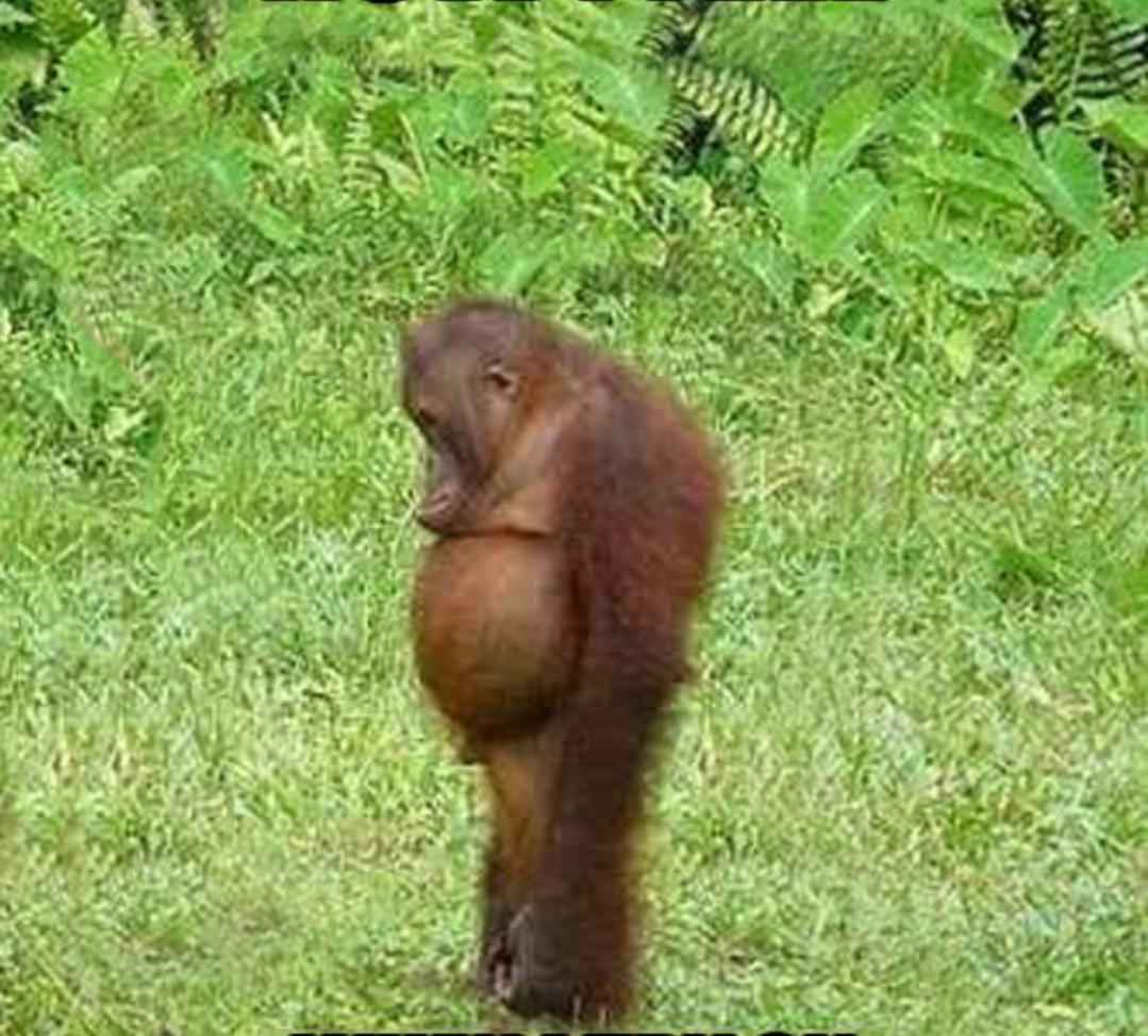 *How i will be feeling when december ends*