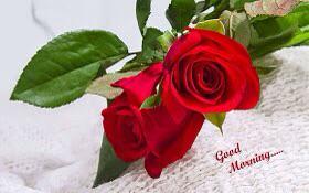 TeReNainaa's tweet photo. πAssalam-O-Alaikum.. #havenicesunday http://t.co/7redqkXnOT