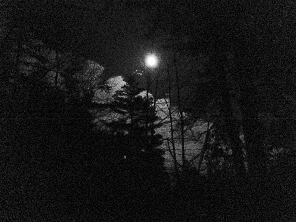 #906 #fullmoon #fatbike