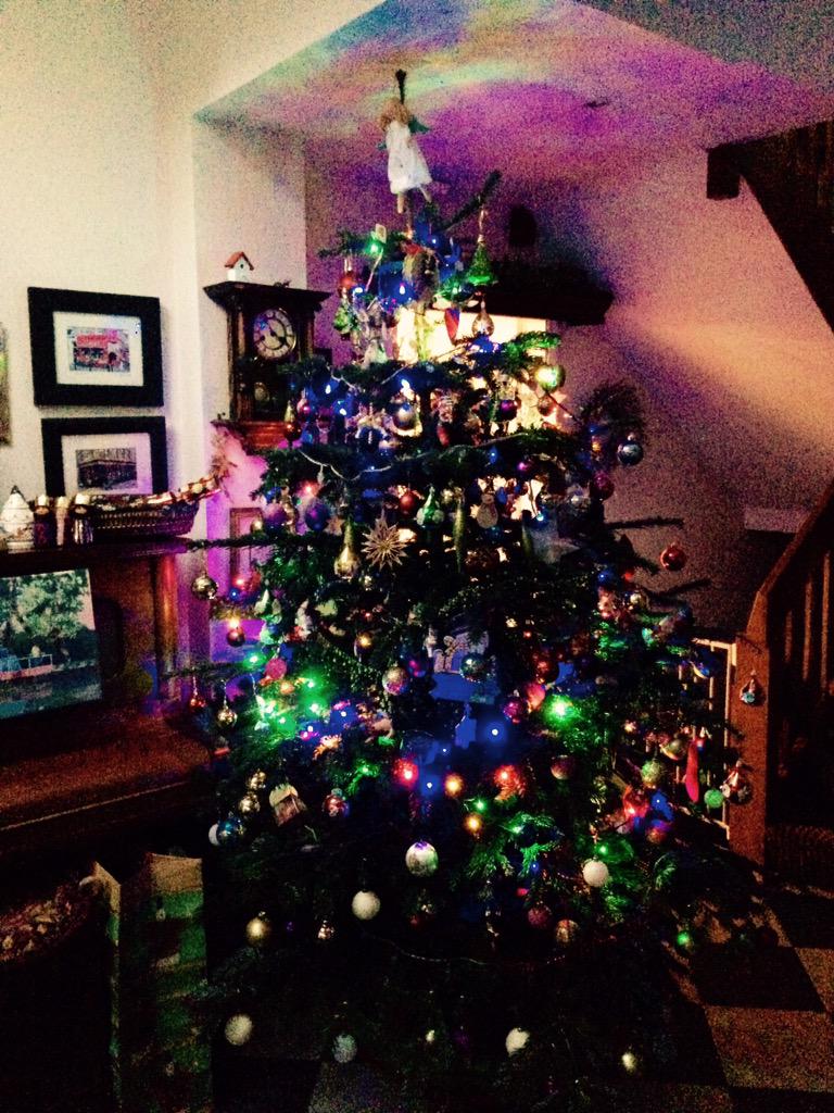 issyc's tweet image. Thank you @BarnCloseWarks for the lovely Christmas tree #christmastree #itsbeginningtolookalotlikechristmas