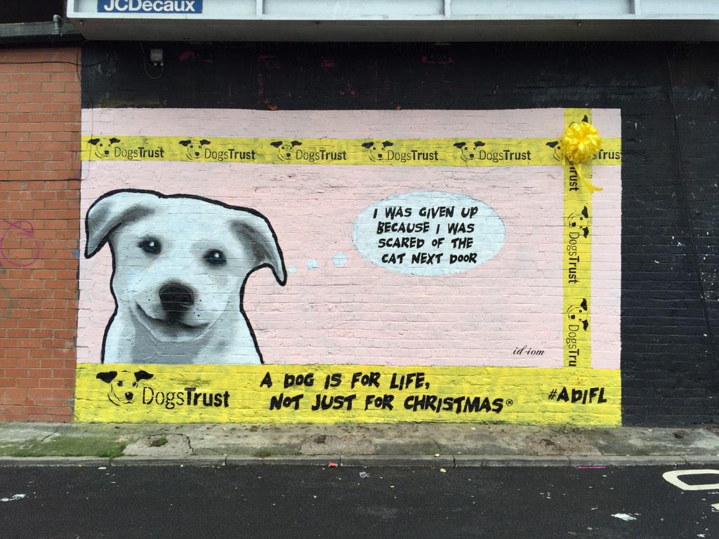 Andy Colatron tweet media