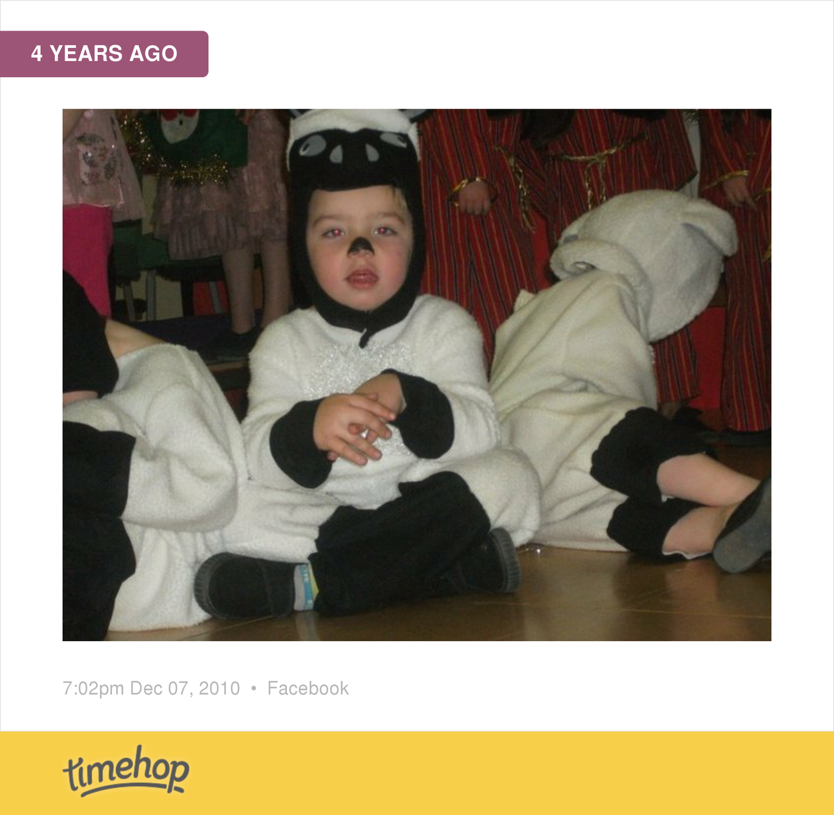 KellyLou3's tweet photo. My little Joshy bear lol http://t.co/EqSjiMyweG http://t.co/iKQSpXd5Db