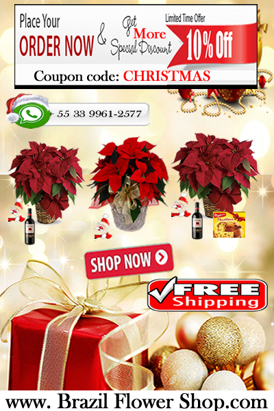 flowerstobrazil's tweet photo. Special offer discount to #christmas Limited time offer, place your order now,  http://t.co/WtrdIMHPMn http://t.co/vAxnFU84ft