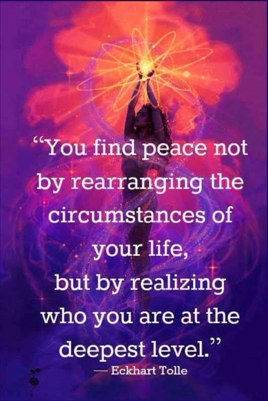 goPersuasive tweet media