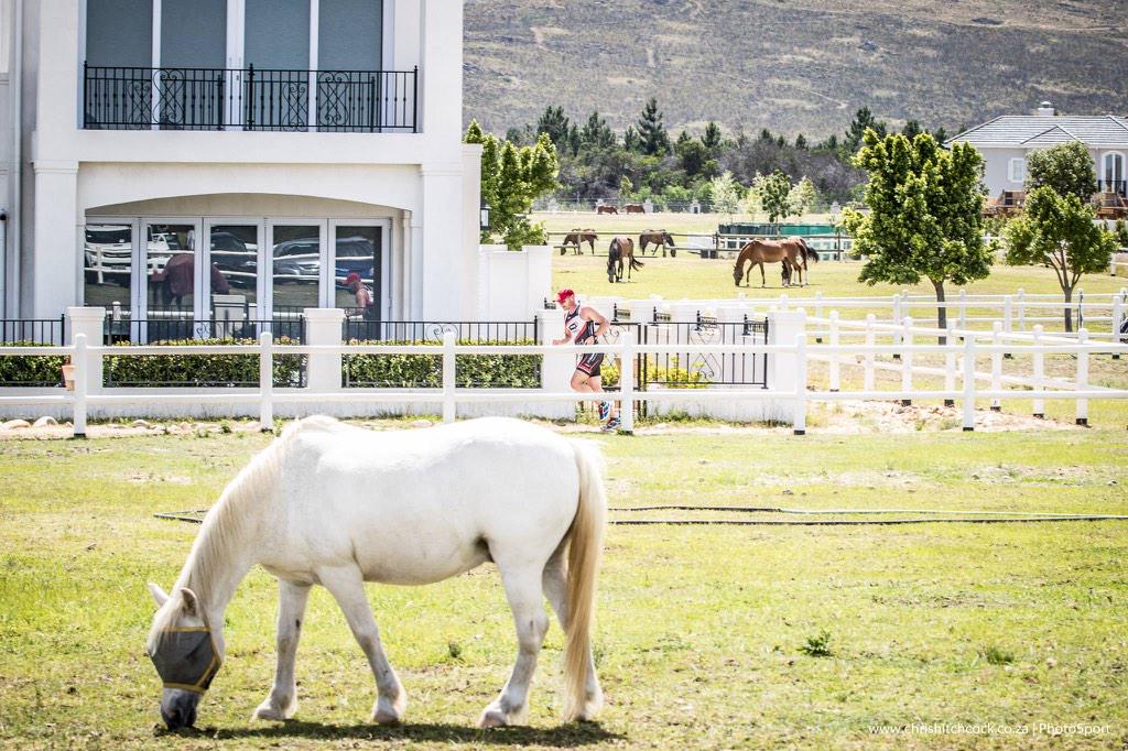 valdevieestate's tweet image. Triathlon pics from today via Chris Hitchcock. Thanks & congrats for contributing to its success. #Triathlon