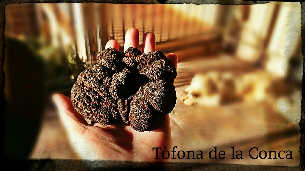 TofonadelaConca's tweet photo. Tòfona de la Conca http://t.co/xA4KLXo3Mm