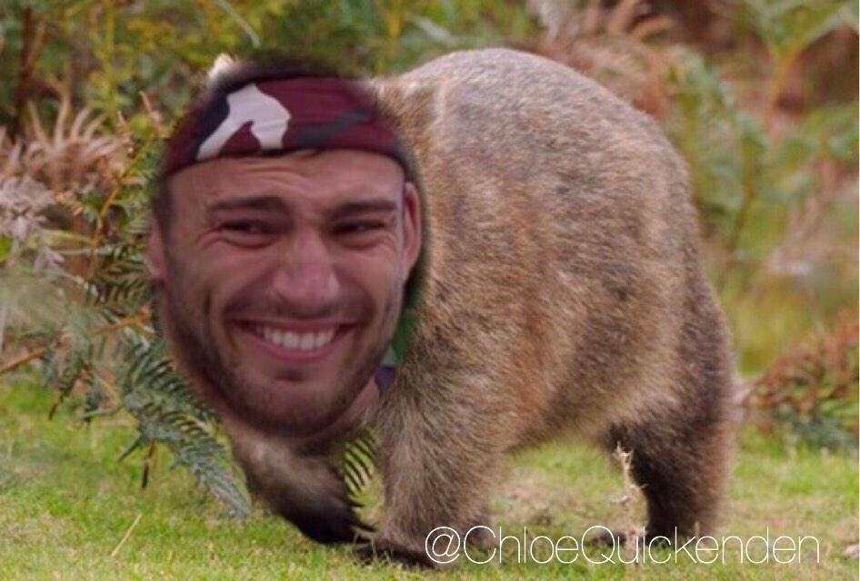 DanTheMeegs's tweet image. #jaketowin