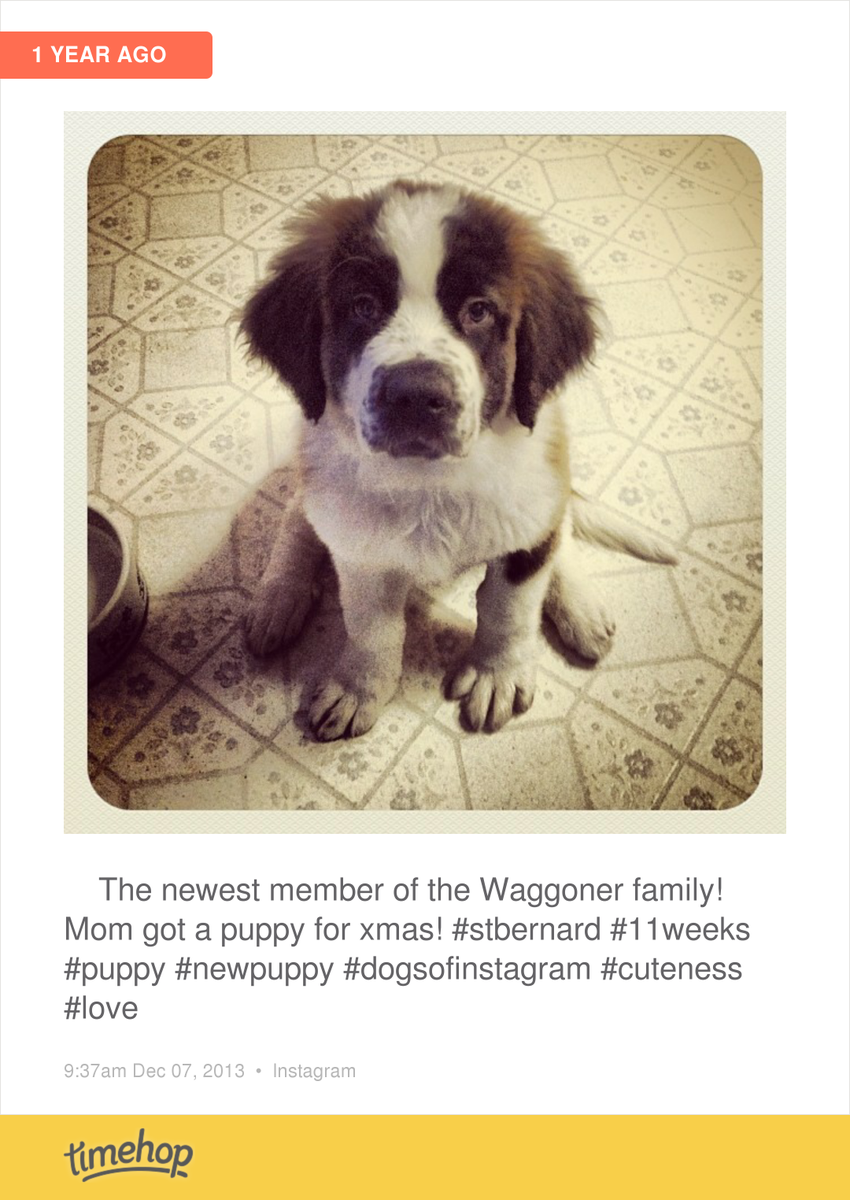 sncgurl's tweet photo. We all miss when she was this size.... Then 35 lbs...Now 135 lbs!  http://t.co/ymDZ3RXF8U http://t.co/k8r5r1SHGL