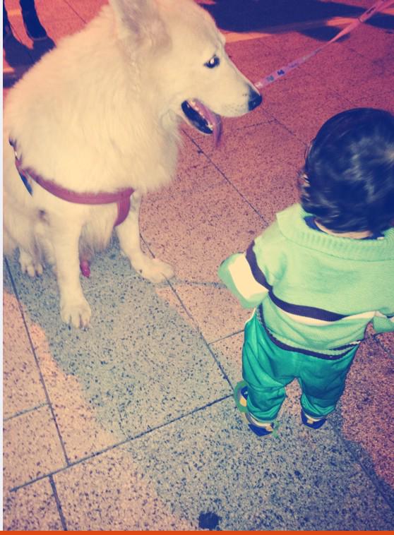 hussientaha5's tweet photo. http://t.co/GSetWQWE2w