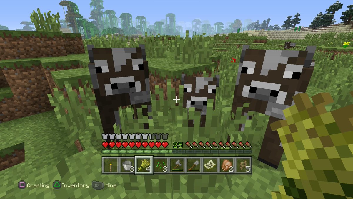 Sammie_Gamez's tweet image. Aww I have a baby cow :)  just starting my farm #minecraftsurvival #minecraftfarm #minecraftPS4 #PS4share