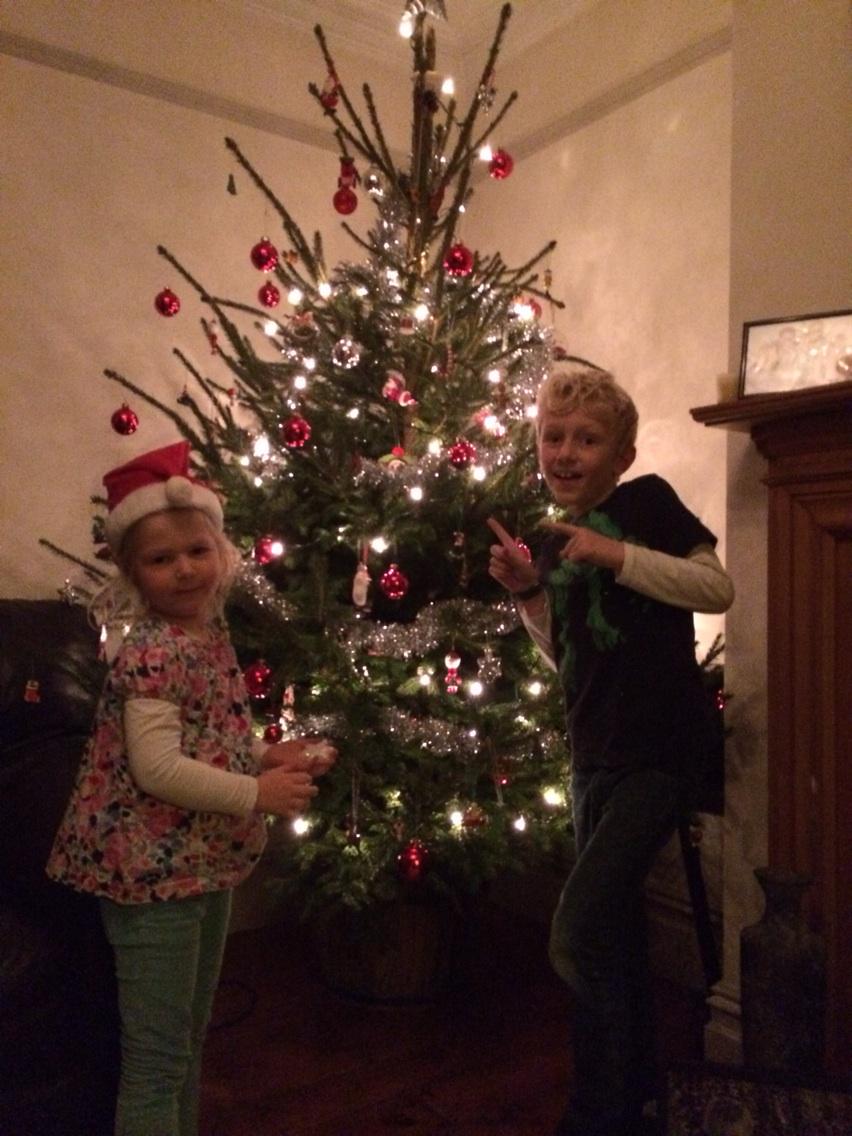 Lucy_Huxley's tweet photo. My two little helpers....
#christmastreefun http://t.co/PAR8m5L7nu