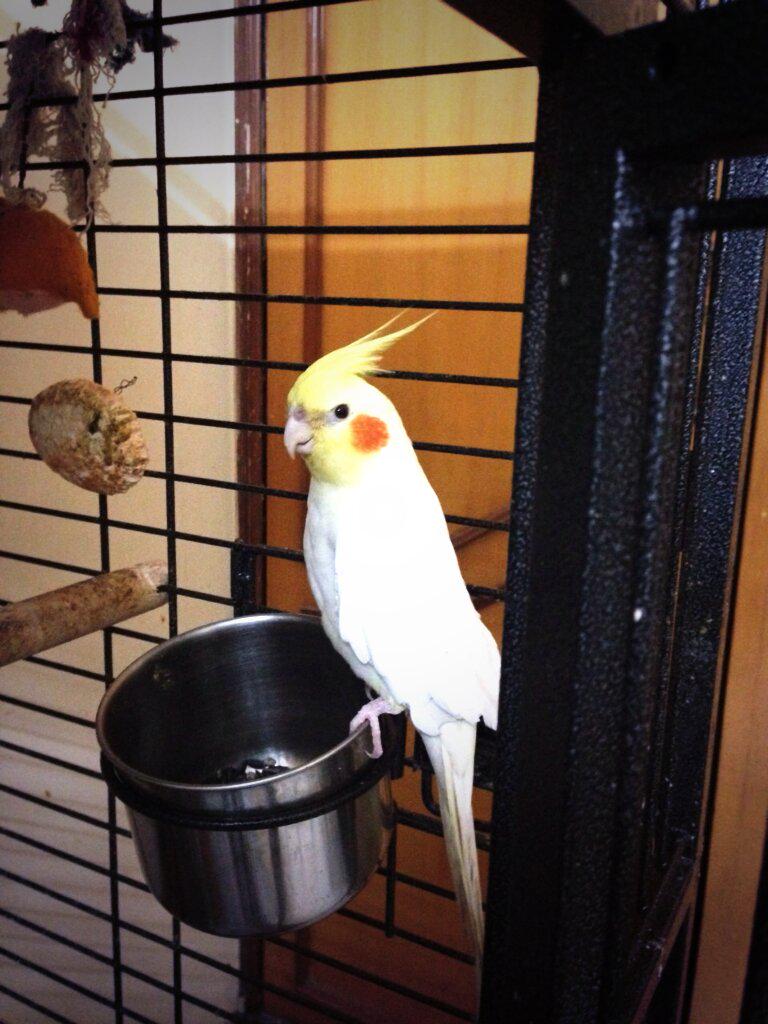 Priyanka ✨  (@priyankaswt29) on Twitter photo 