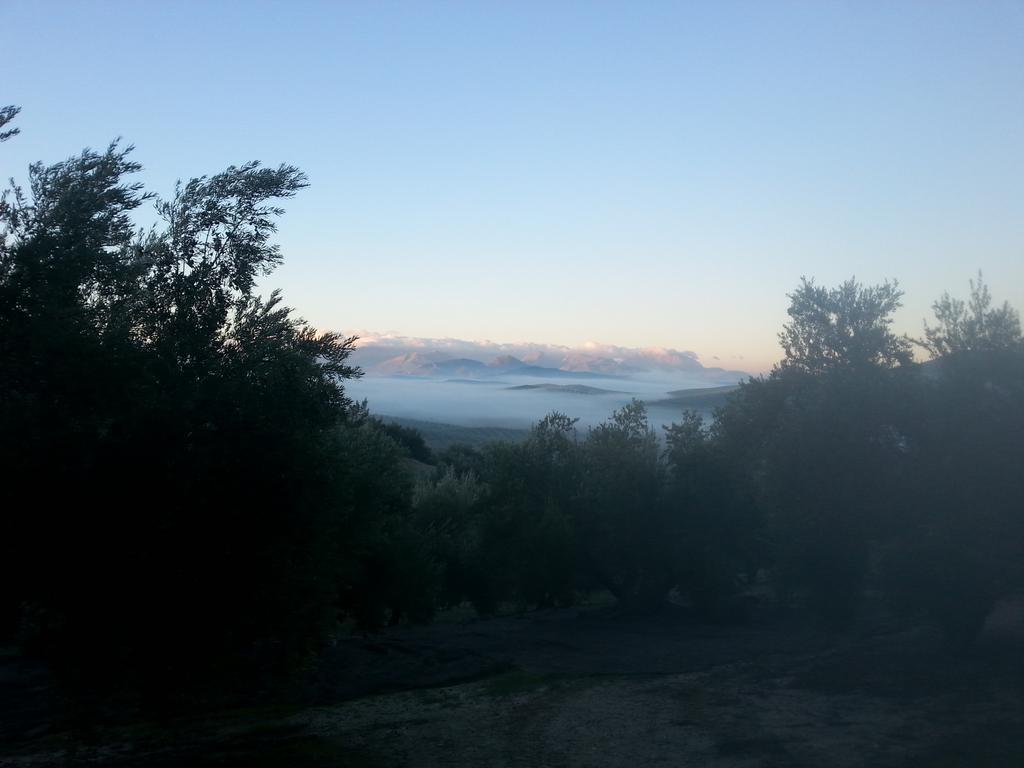 AlvaroXXL's tweet photo. Frias mañanas http://t.co/OSxR51xZRH