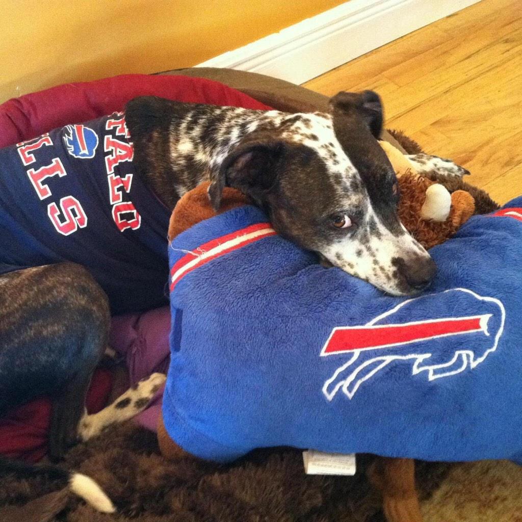 Shawn Reinhardt (ShawnSaysStuff) Twitter