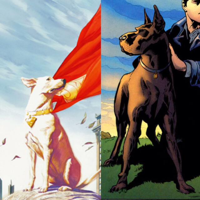 Showdown!
Krypto vs Ace
Who would win?
Who's your favourite?
Rt: Krypto
Fav: Ace
