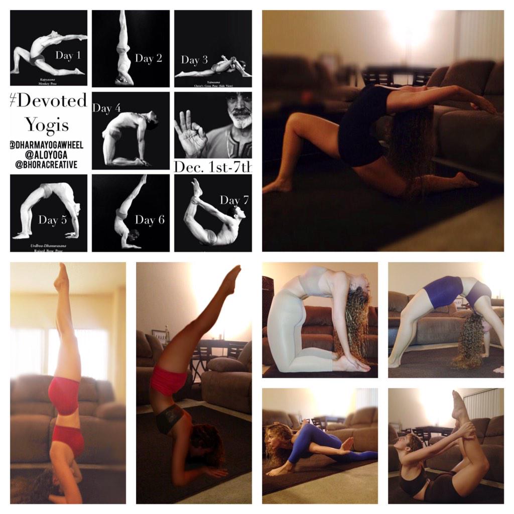 GerardStephanie's tweet photo. #devotedyogis #kapyasana #Shirshasana #yajnasana #ustrasana #urdhvadhanurasana #pinchamayurasana #dhanurasana #dharma http://t.co/lZClVcQ1rm