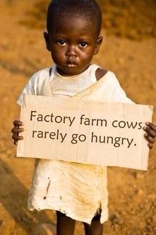 VeganRevoIution's tweet photo. "You Vegan freaks care more about animals than you do Humans!" http://t.co/RIfxbSjxPE