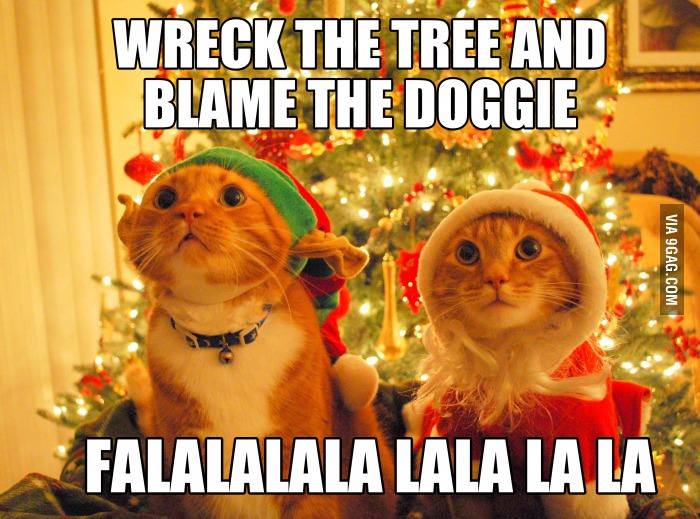 He He He   :-)      #wlf #cats