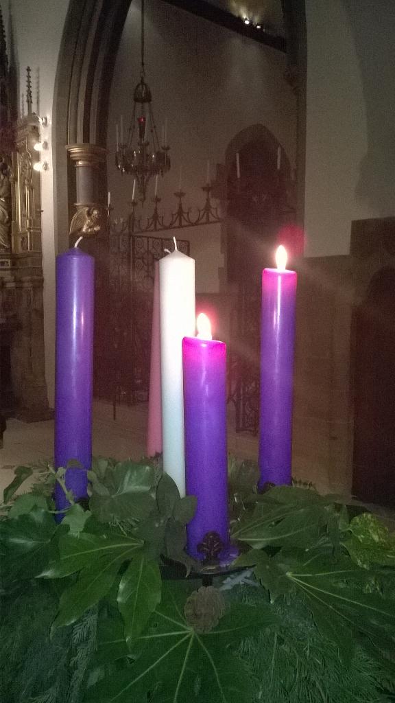 StMarieCathedra's tweet photo. A voice cries out in the wilderness, make a straight path for the Lord! #advent http://t.co/FSl2jKNeL8