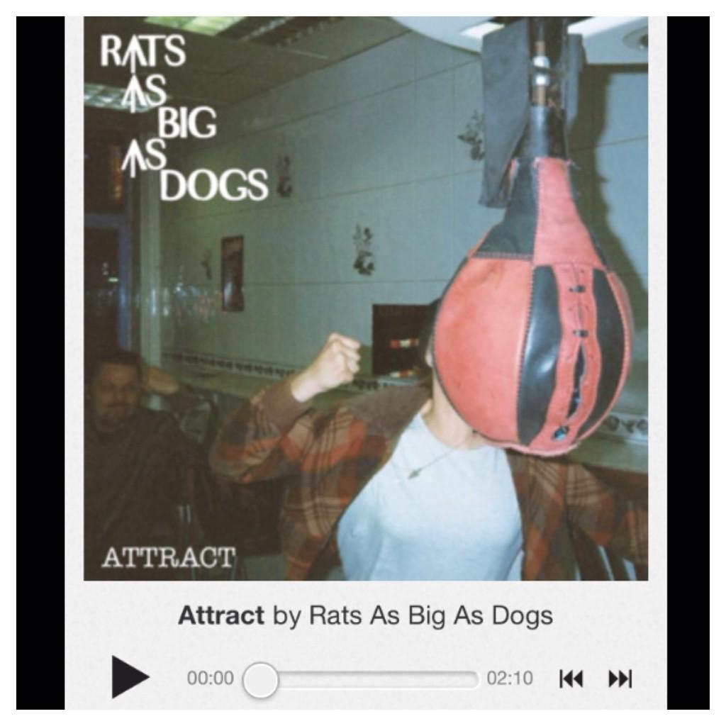 New EP 'Attract' now available for download and streaming here: ratsasbigasdogs.bandcamp.com