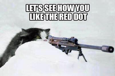 hugo4de's tweet photo. i need coordinates of stupid german and swiss hunters .. @masterkillercat @tomscrazyworld @nocatkill #nocatkill http://t.co/qXXnC334jE