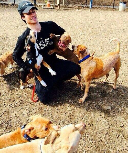 Tenho um orgulho tao grande de ser fã desse homem Happy Birthday Ian Somerhalder From Brazil 