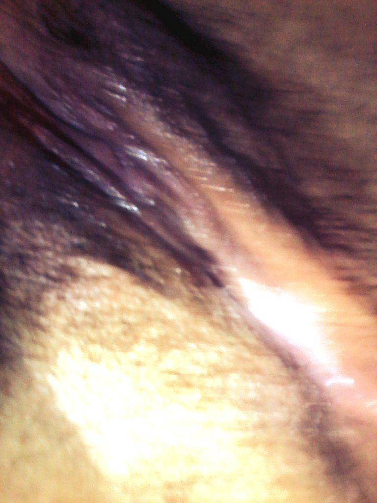 SempreVoglia's tweet photo. http://t.co/fmsP0TzoKS