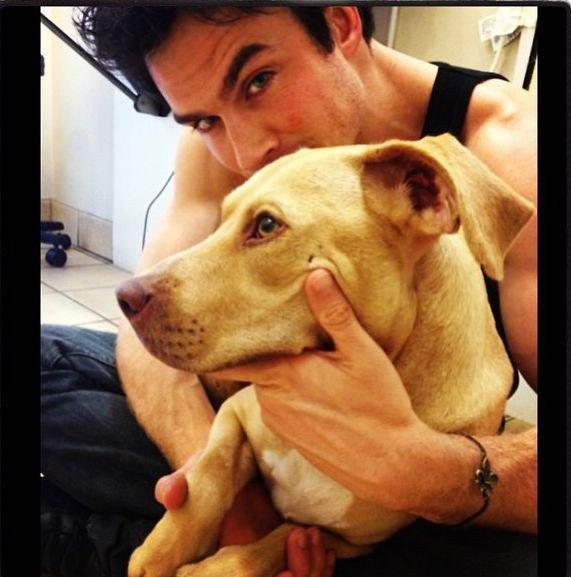 Happy Birthday, my wonderful and lovely Ian Somerhalder <3
I love you <3
Love, Russia. 