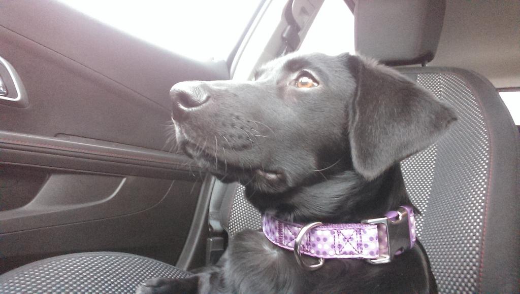 FischerChuck's tweet photo. Waiting on @DaniFischer89 to return. #hurryupnow http://t.co/ZDmtmirVLk