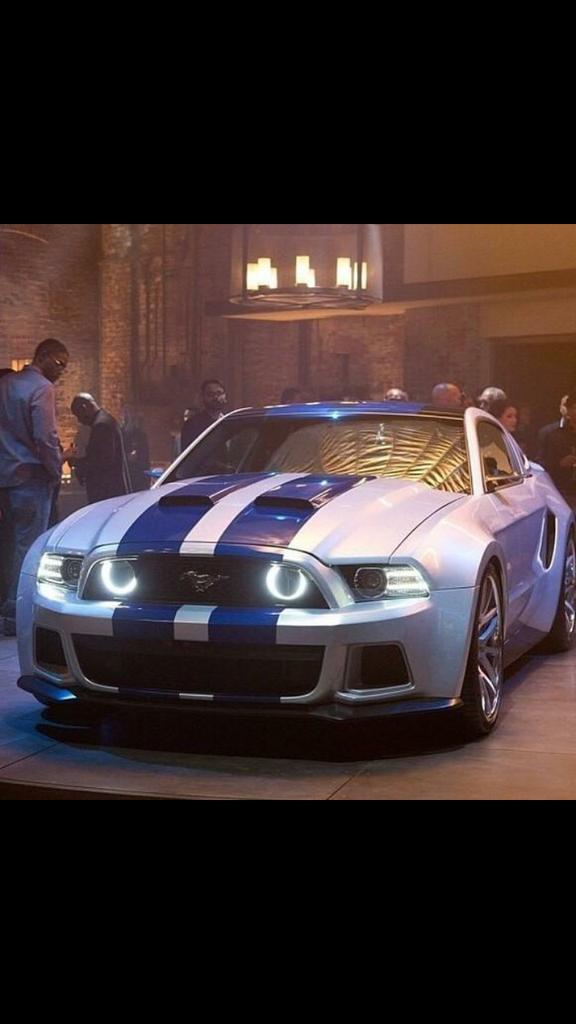Muscle Cars tweet media