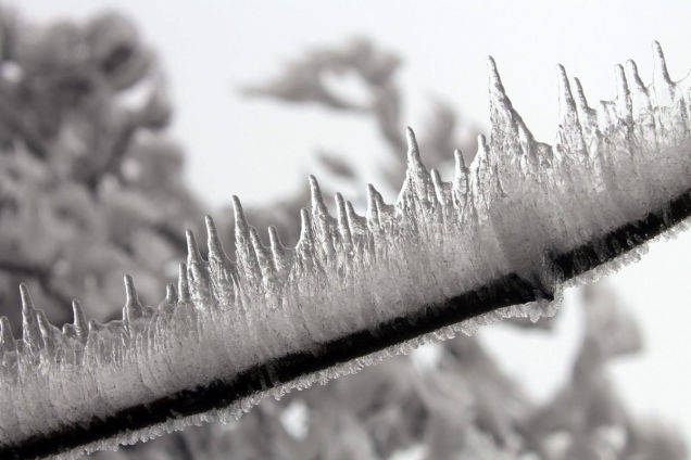 Vicky_ADM's tweet photo. @SheilaisFirefly RT @ThatsEarth Fog rolls through the Hungarian mountains, rapidly freezing everything in its path. http://t.co/WaXJLZ05QK