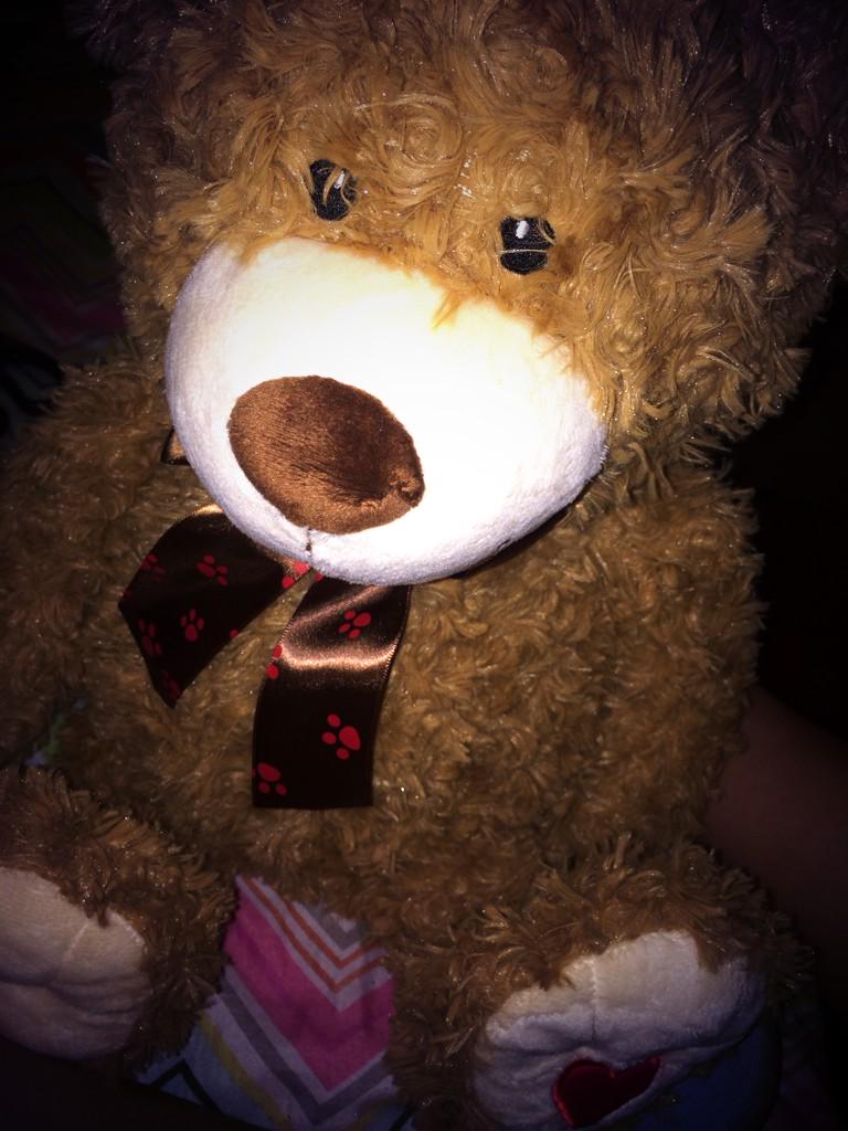 itsdemarielynn's tweet photo. Got my bear❤️🎄 #matthewsmission http://t.co/lg9bDYuQyc