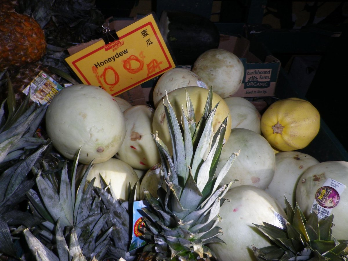 Debra Kato tweet media