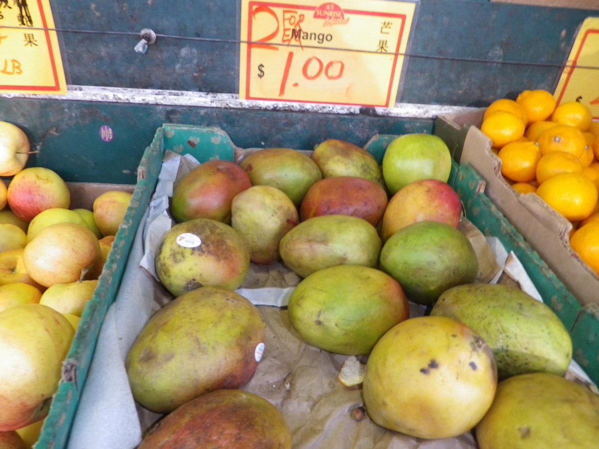 Debra Kato tweet media