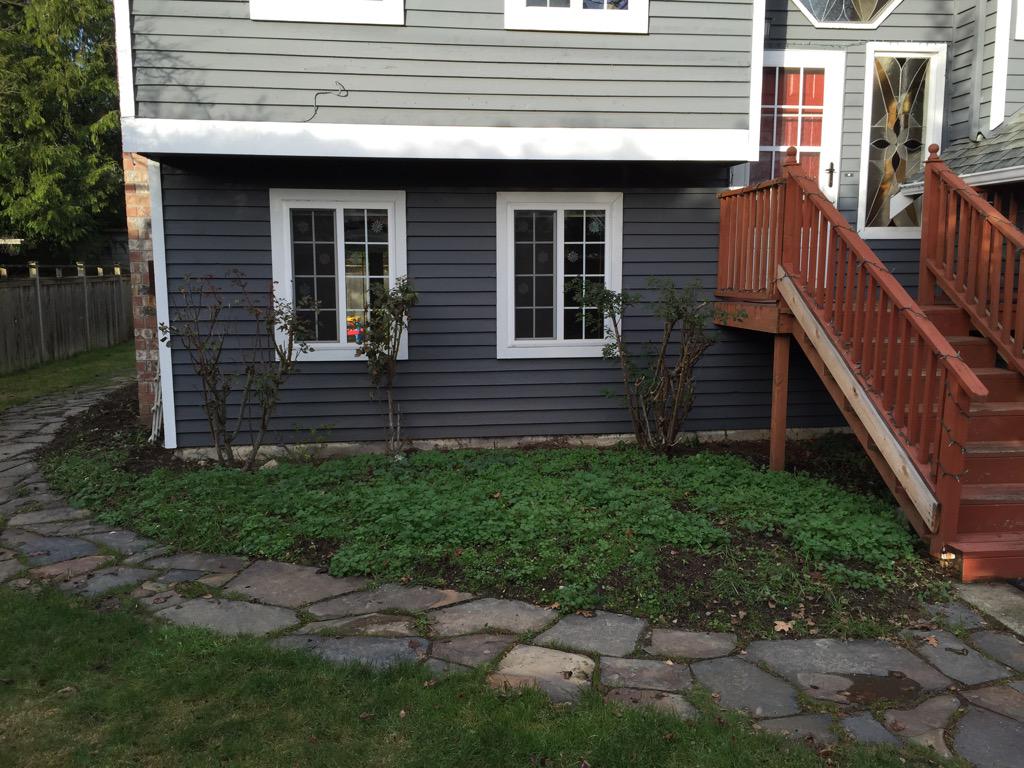 josephpweller's tweet photo. #heyswansons, we're looking for (native &amp; low mx) ideas for a 12'D x 16'W x 20' triangular space in front yard. http://t.co/48dXX9tjJL