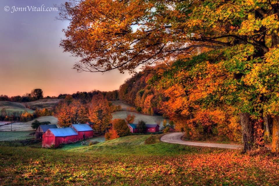 JoannVitali's tweet photo. #VermontFarm Art #JenneFarm - Vermont' by Joann Vitali - http://t.co/fPKju9AYWT #Vermont #Autumn #NewEnglandFarm http://t.co/ij4QjqJMAE