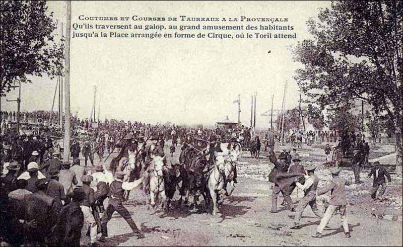 CorrerToros's tweet photo. Encierro a caballo en la camarga francesa a principios del siglo XX. http://t.co/8uT4nVUa3e