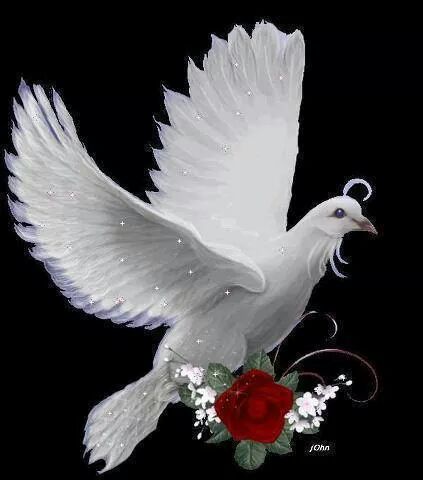 PersonalEffort's tweet photo. http://t.co/iMkN6pktq4