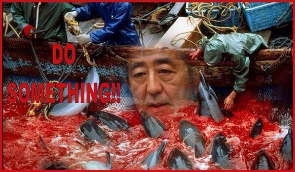 Foxewise's tweet photo. :🌏❤🐬🐳🇯🇵@wire2wire RT spread word TW works~ ones change #tweet4taiji @CoveGuardians @CarolineKennedy @AbeShinzo @BBC http://t.co/TfL7MahtFx