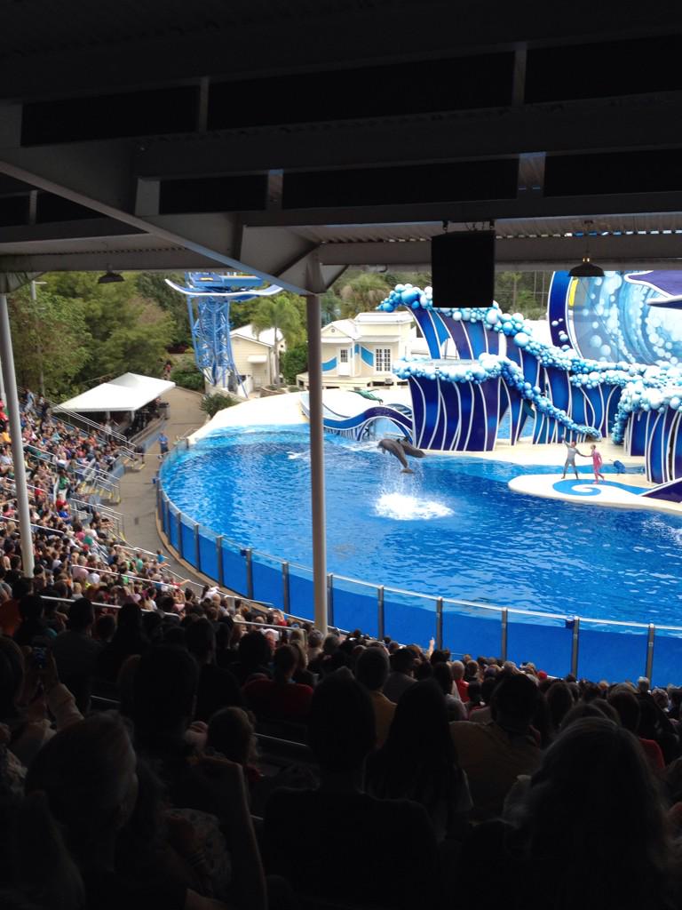 4_large's tweet photo. @caudwellkids #DD2014 #purplepeople #destinationdreams more from Sea World today http://t.co/YsIo6ehCdB