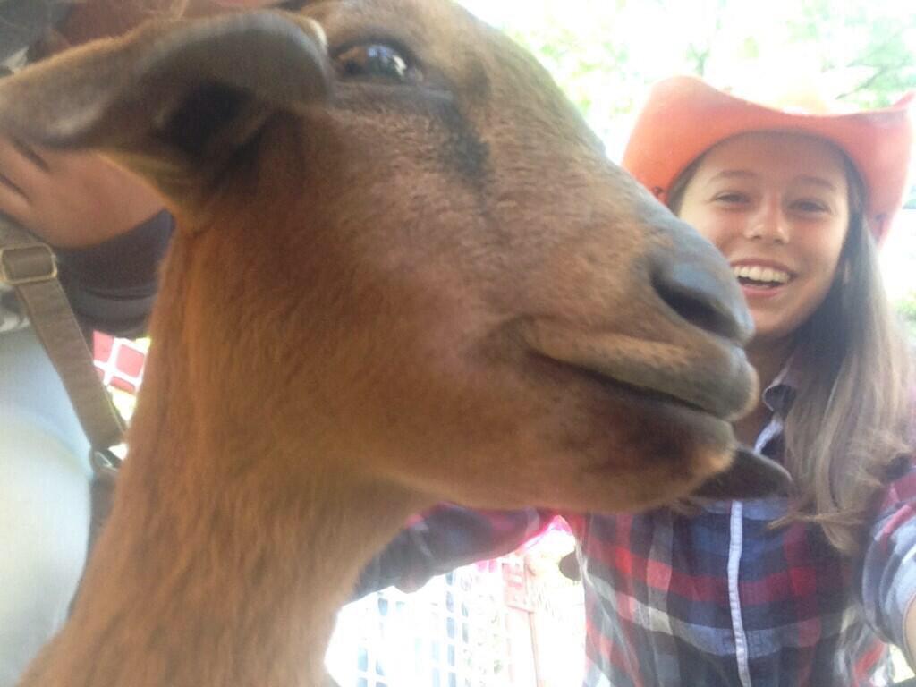 Julie_C3's tweet photo. Fair trade fair tomorrow! #whythegoat http://t.co/Cmz4J5p4MS