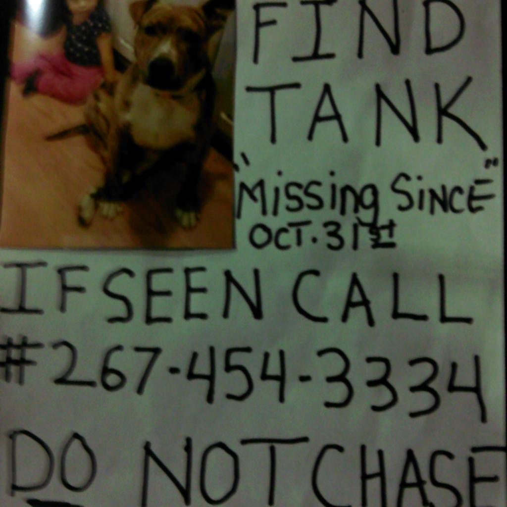 Missing in Kensington Section of Philly. PLZ RETWEET #TeamTank Help Bring Tank Home
