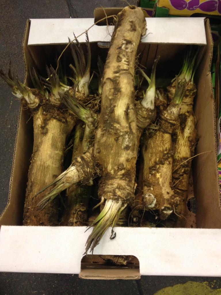 Fresh as can be, UK horseradish to make your mouth water. Find it at Gilgrove new covent garden.