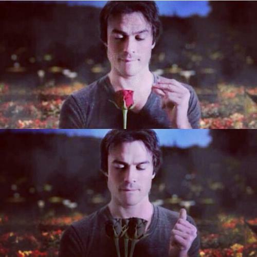 Me morda neste dia tao especial eu imploro Happy Birthday Ian Somerhalder From Brazil 