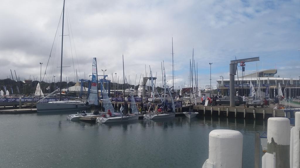 NeilPatterson24's tweet photo. Rocky is ready2rumble 4 #SWCMelbourne #Downwindselfies  @AusSailingTeam  @zhikaustralia @audi_australia http://t.co/S1clwm4R8N